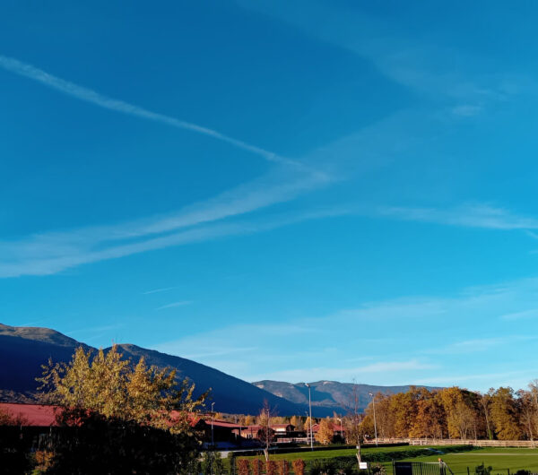 PHOTO-2025-11-04-16-16-05